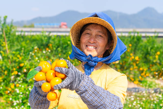 南方农村报 樊静东 制图