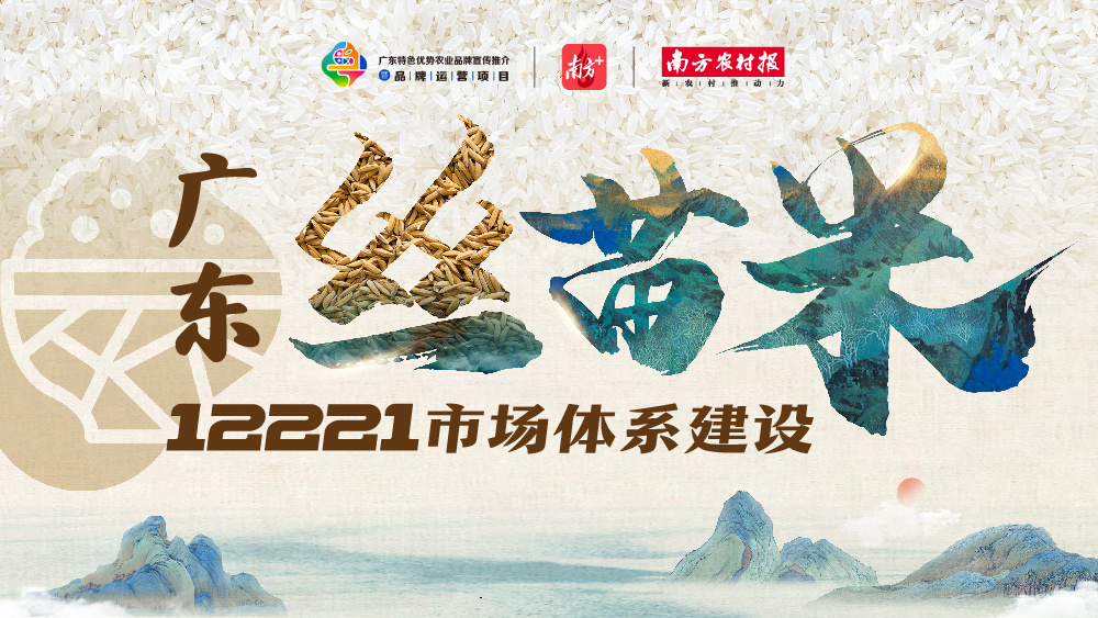 創(chuàng)意海報(bào)丨干飯姐妹x廣東絲苗米