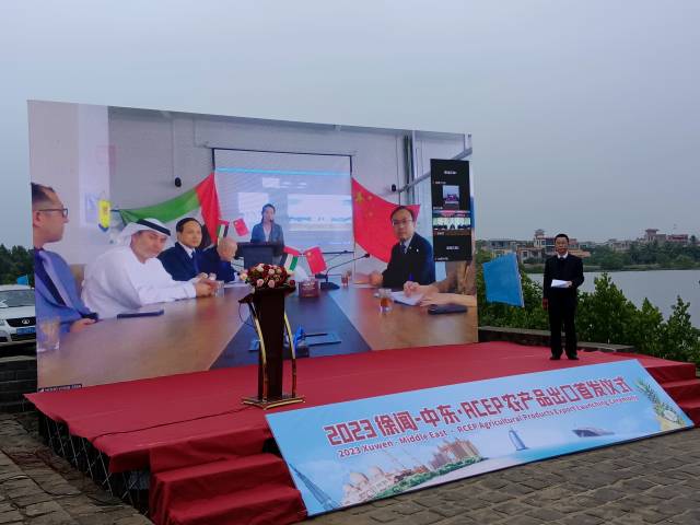 徐闻菠萝等优质农产品将作为“国际友谊果”在“一带一路”沿线国家和地区开启“传承之旅、开创之旅”。徐大荣 摄