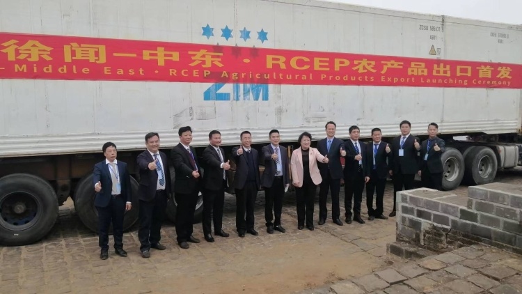 发车中东！徐闻菠萝打响2023广东农产品出口第一枪