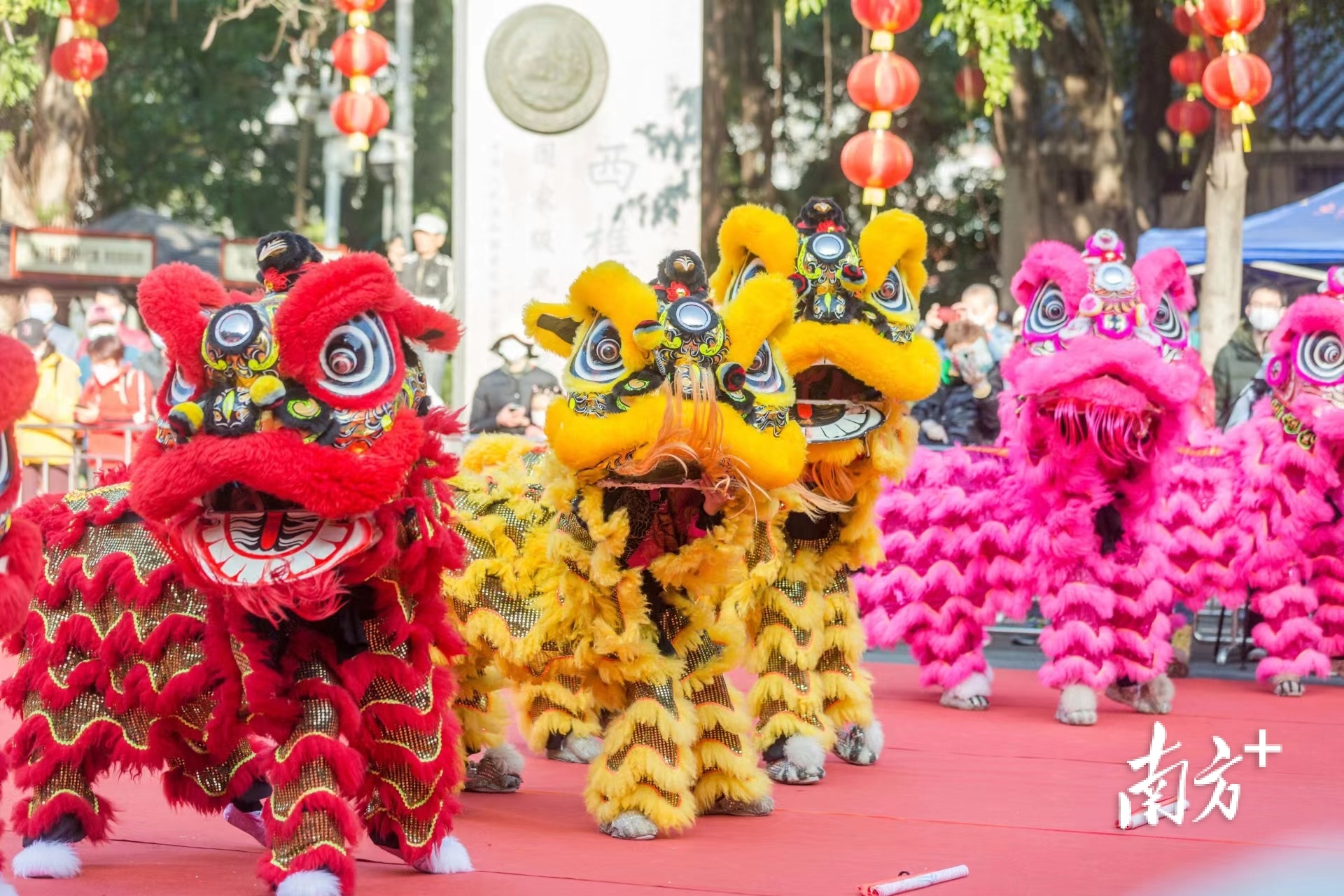 2023年全国新年登高健身大会(广东分会场)暨广东名山(西樵山)登山活动开幕式上的舞狮表演。