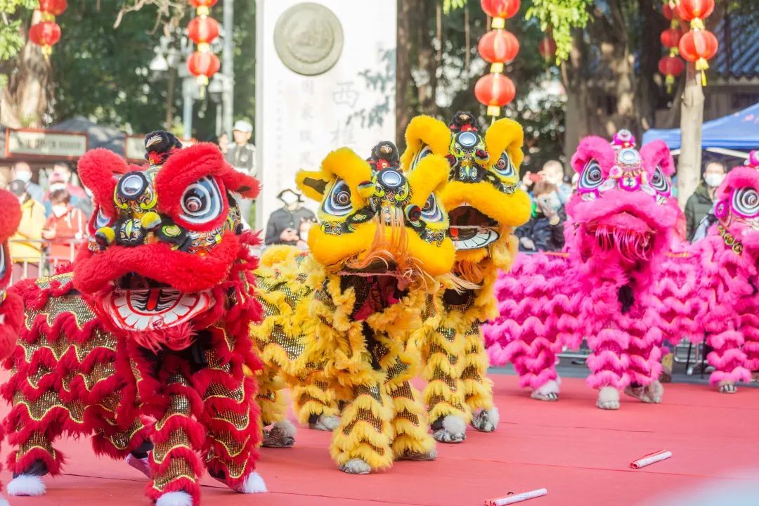 开幕式上的舞狮表演。摄/佛山日报摄影记者王伟楠 开幕式上的舞狮表演。摄/佛山日报摄影记者王伟楠