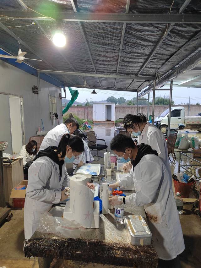 过硬的专业素养和踏实肯干得到当地养殖企业一致好评。