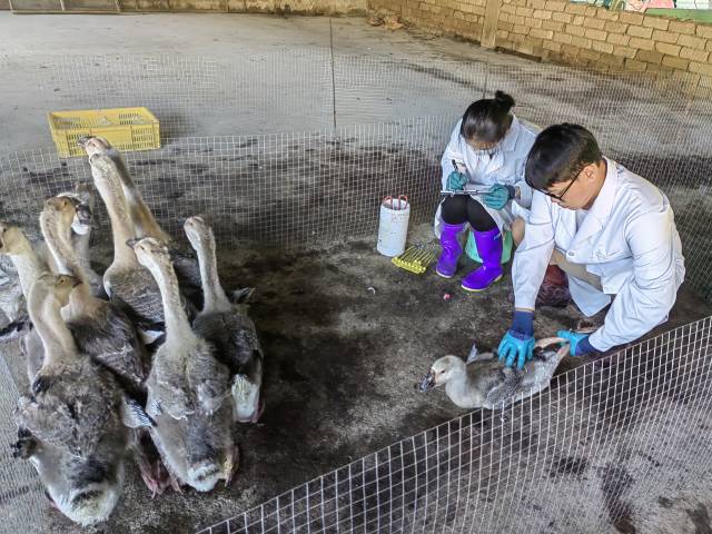 学生深入农村基层一线。