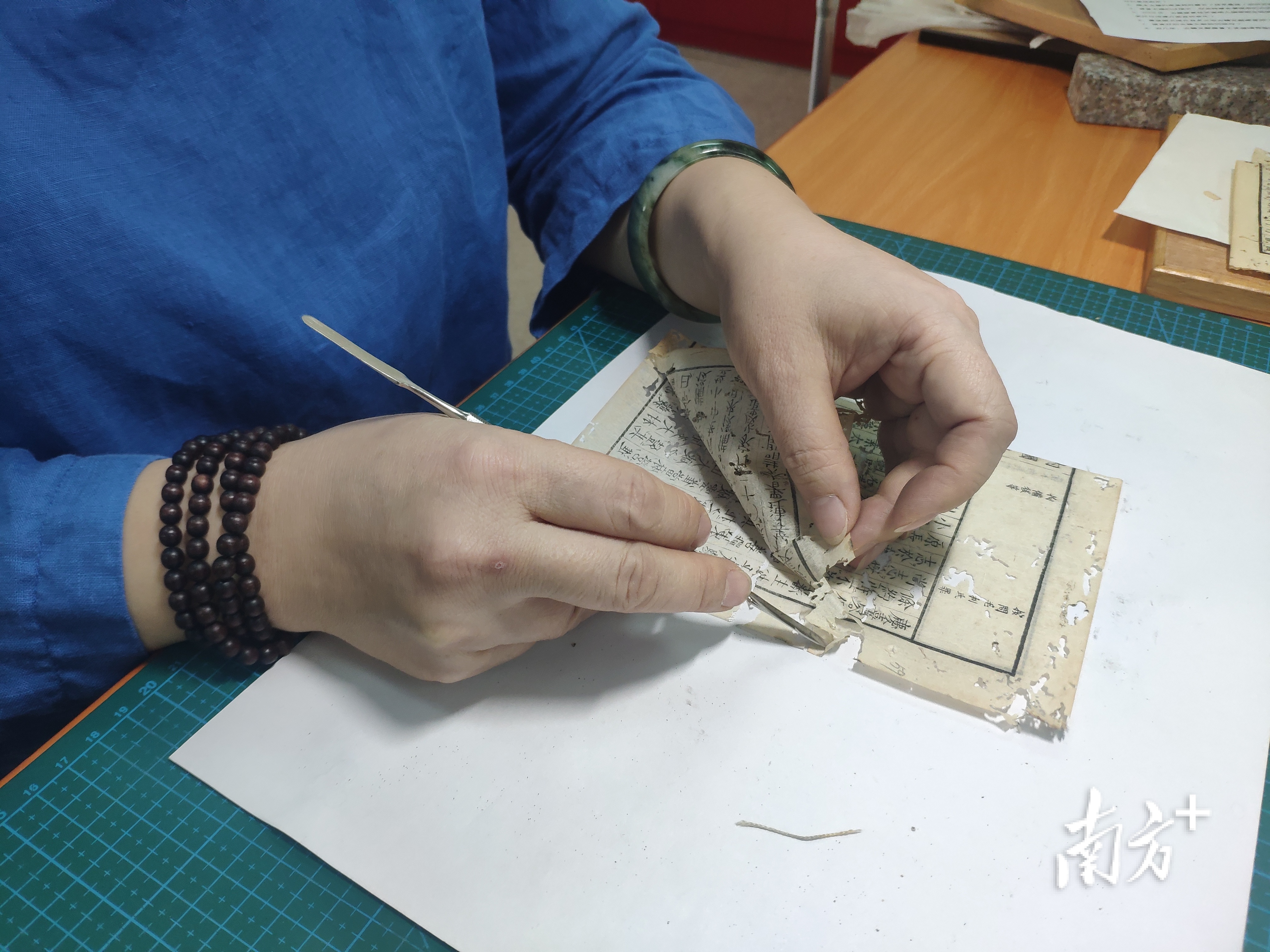 谭锦华将残碎交缠的书页逐层分开。  南方+ 黄绍侦 拍摄