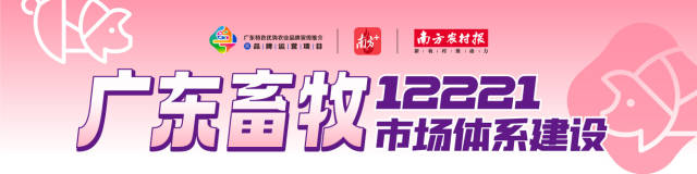 京基智农：年出栏生猪突破100万头，全力打造优质“圳品”猪肉