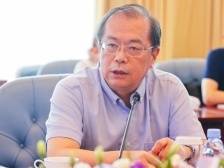 高瞻：香港生产力促进局专业服务可助力湾区更多企业开拓国际市场