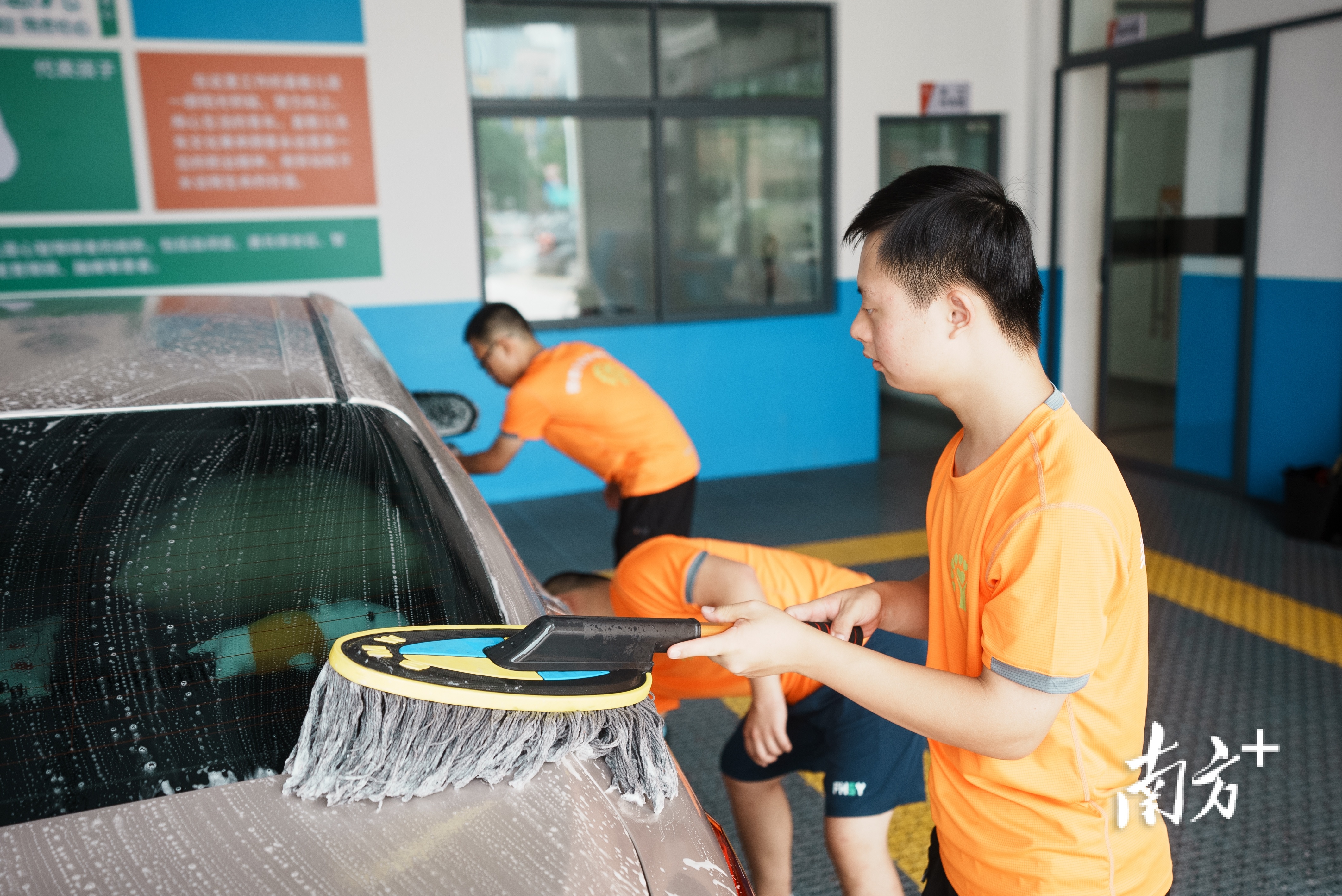 喜憨儿们分工合作完成汽车清洗工作