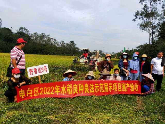南方农村报 杨吉龙 拍摄