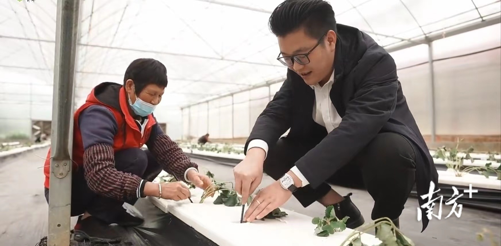 刘宇枫在大棚里指导农民作业