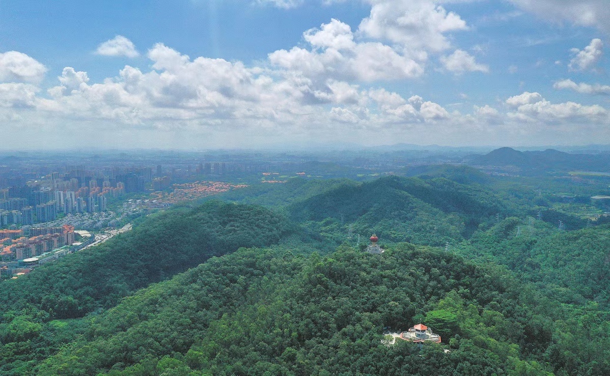 ▲绿意盎然的黄旗山