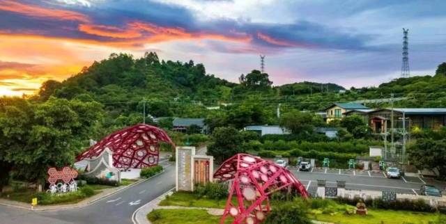 广州市从化区荔枝文化博览园。（图源：广州从化发布）