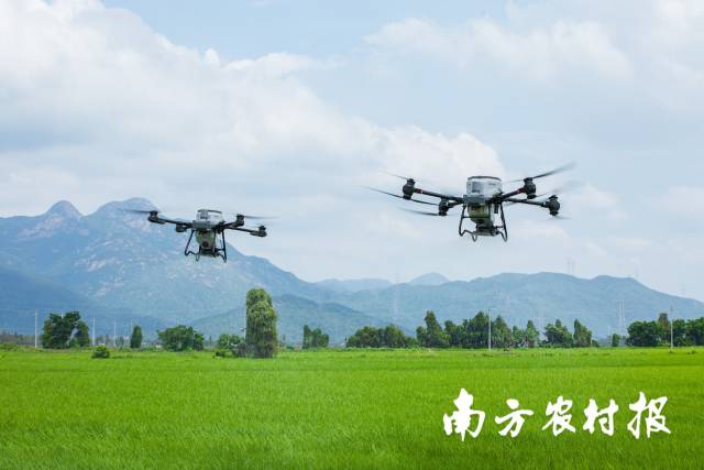 大疆农业无人机T50与T25