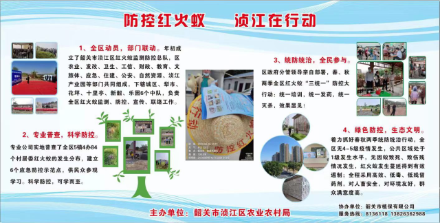 红火蚁防控技术宣传海报。  