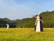 现代农业如何规模化产业化品牌化｜突围探新 肇庆观察