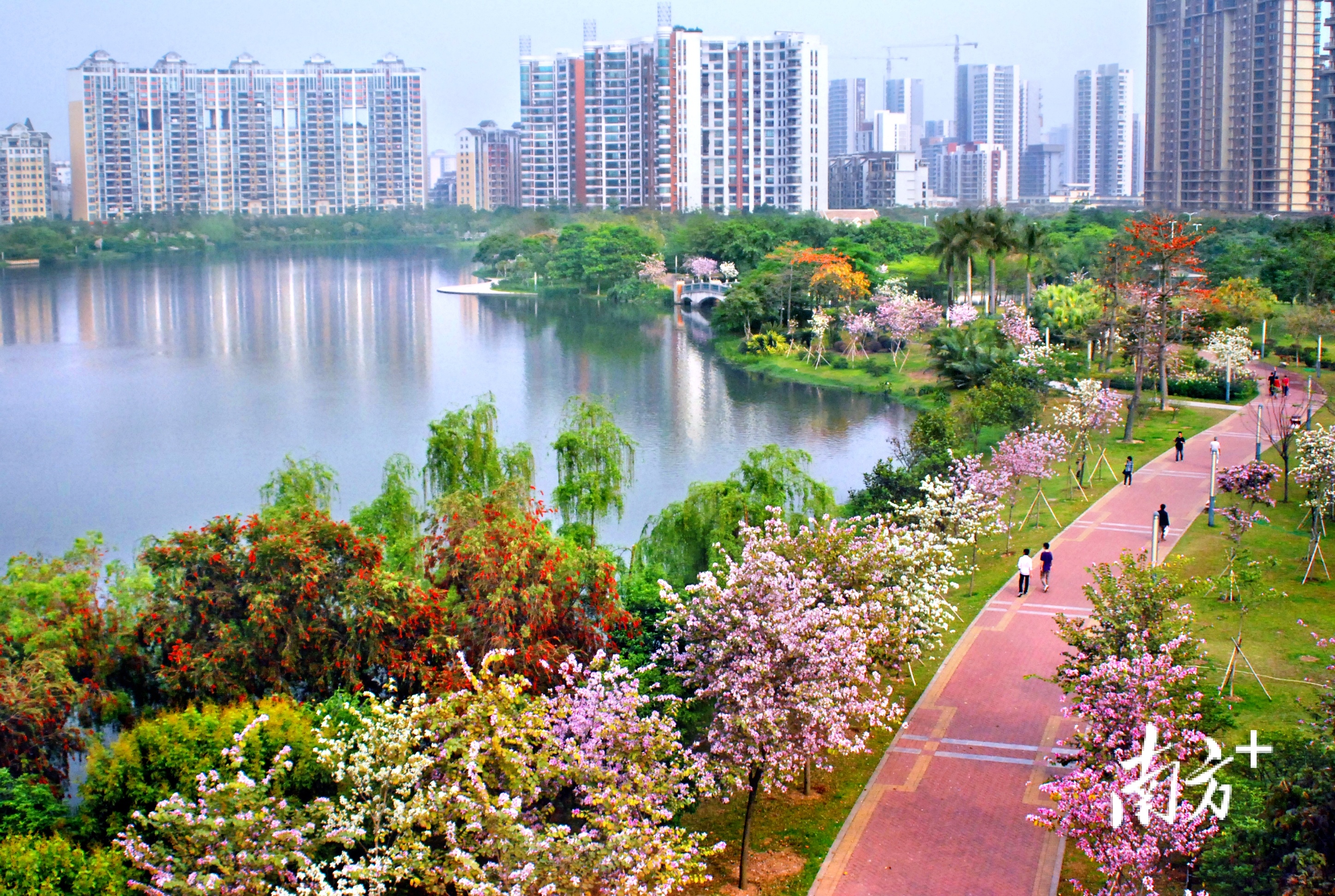 禅城区亚艺公园环境洁净优美，成为市民休闲的好去处。佛山市卫健局供图