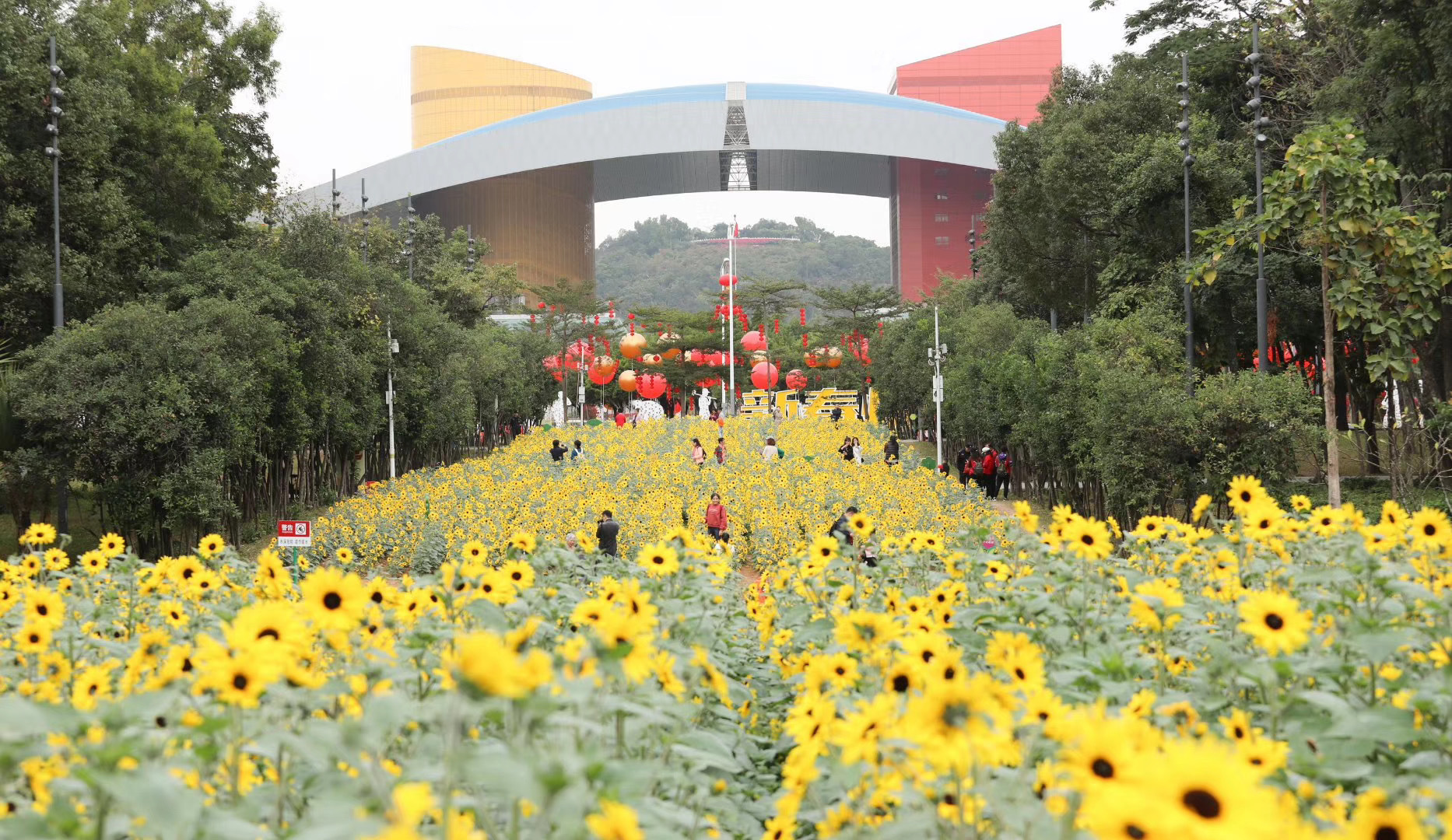 南方+ 潘欣宇 拍摄