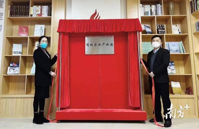 清城区国家现代农业产业园和南方报业传媒集团清远记者站共建的南方+清城农业产业园频道正式上线
