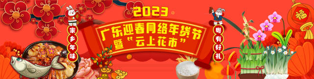 世界最大最高的年桔塔亮相顺德陈村！全国八成年桔产自这里