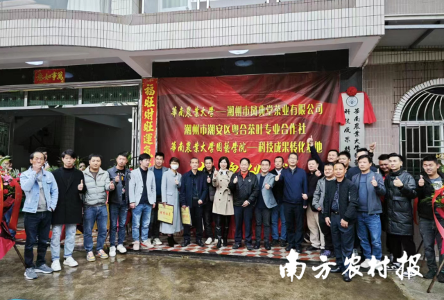 南方农村报 陈志深 拍摄