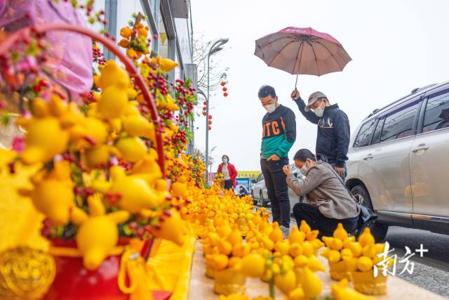 即使天公不作美,，也抵擋不住買(mǎi)花人的腳步。 