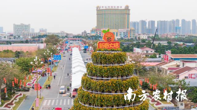 高达16.8米的年桔塔吸引市民拍照留念