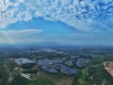 省政协为绿美广东建设出谋划策，聚焦“双碳”打出协商议政组合拳