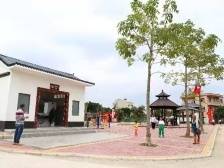 电白乡村振兴迈出新步伐| 速览《南方日报·电白视窗》第107期