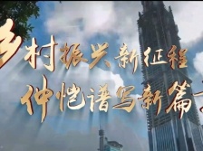 视频 | 乡村振兴新征程 仲恺谱写新篇章