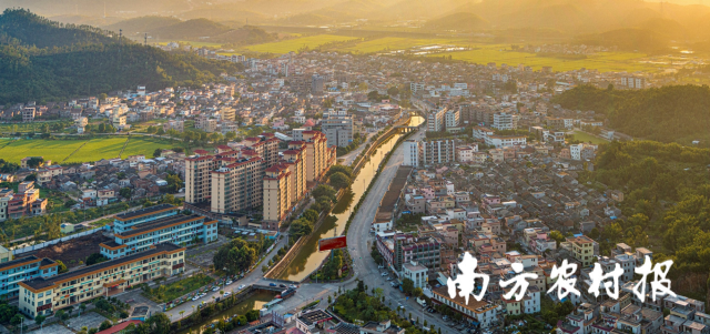 沙堆镇坚持服务民生，画好基层治理“同心圆”。