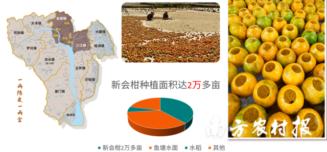 三江镇以产业兴旺，创出致富“新思路”。