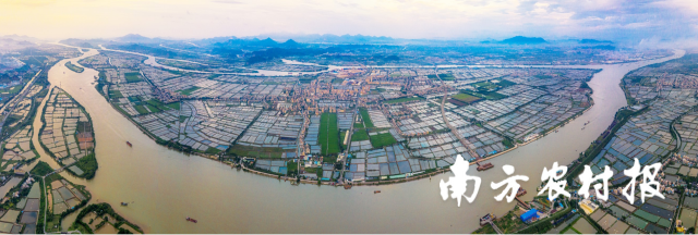 大鳌镇着力发展水产养殖农业。