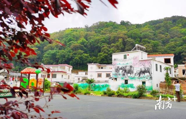 连山建立农村人居环境长效管护考核制度,擦“靓”农村人居环境。黄津 摄