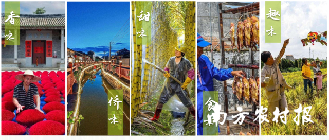 双水镇围绕“香、侨、甜、食、趣”建设乡村振兴示范带。