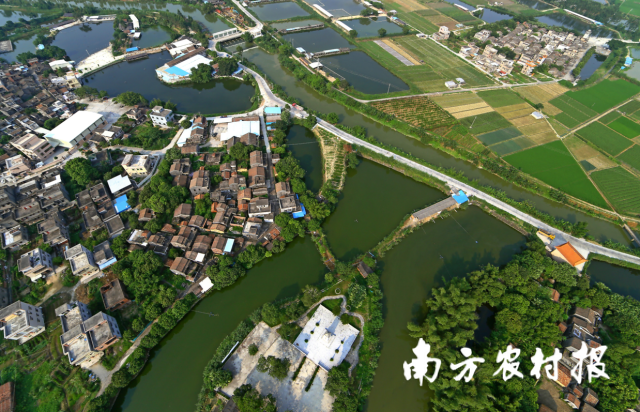 大泽镇以党建引领基层治理促乡村振兴。