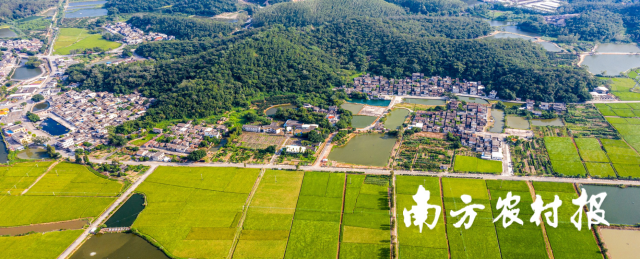 罗坑镇积极推进现代农业、美丽乡村加快发展。