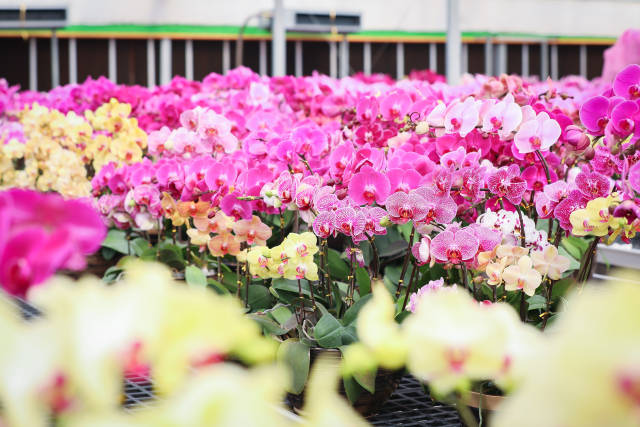 南方农村报 樊静东 制图