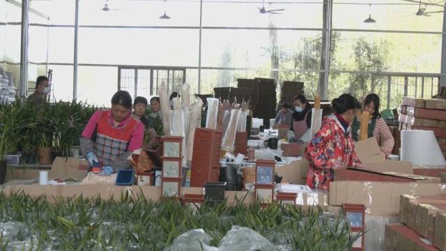 订单增多，企业正积极备货。