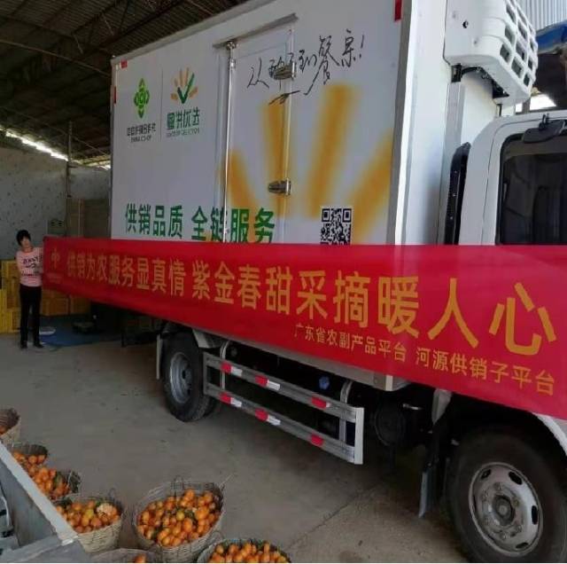 南方农村报 郑建斯 拍摄