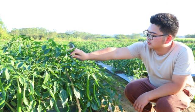 南方农村报 郑建斯 拍摄