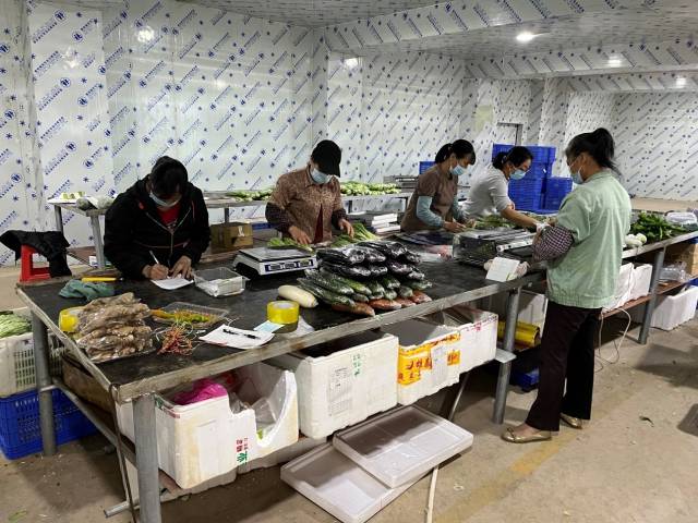 南方农村报 郑建斯 拍摄