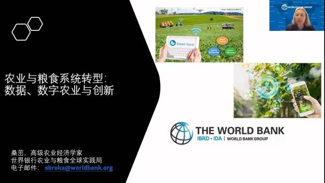 高级农业经济学家、世界银行农业与粮食全球实践局桑茁作分享  受访者供图