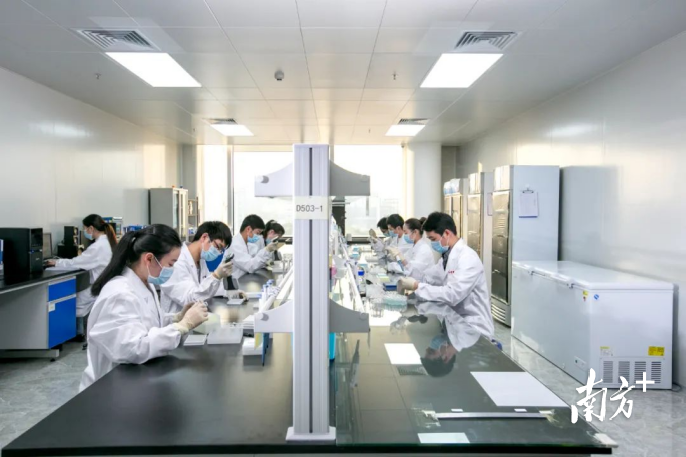 菲鹏生物是全球领先的IVD平台型龙头企业。图为员工在进行实验。