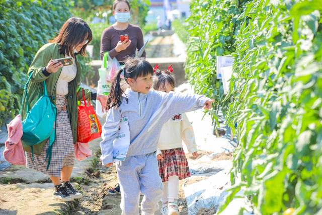 市民在广州天河智慧农业公园游玩