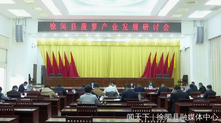 谋划2023年营销十大事件！徐闻召开菠萝产业发展研讨会