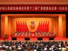 林克庆参加医卫界分组讨论