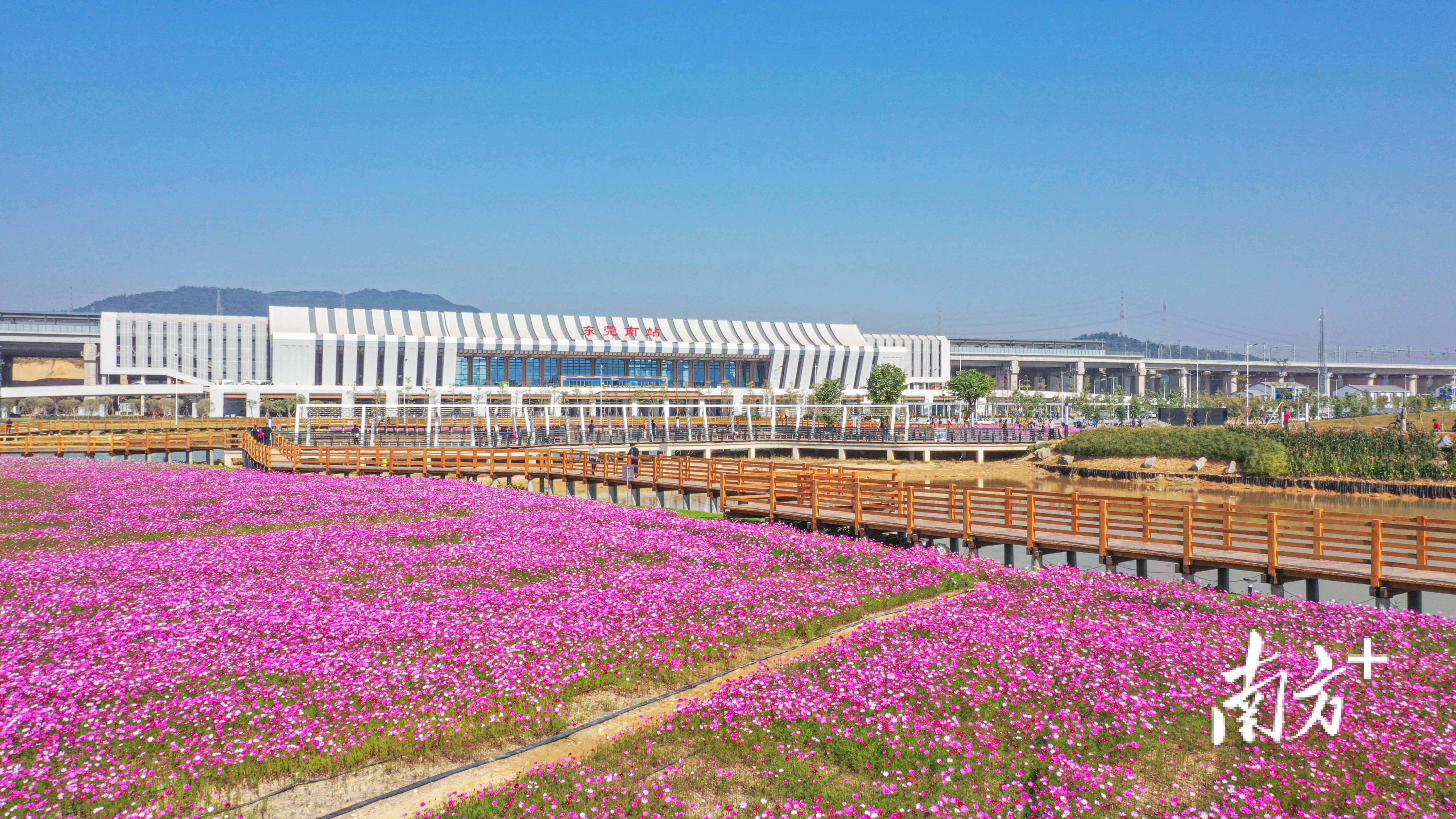 1月15日(本周日)起,在塘厦坐高铁可以直达香港西九龙了,这也将是塘厦与香港之间首次高铁直通,两地的往来将会更加方便快捷。