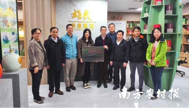 科技赋能乡村振兴！“广东潮州潮安橄榄科技小院”在文祠挂牌成立
