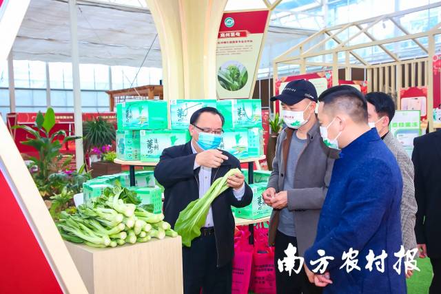 广东省农产品“三品一标”年货节展示现场 