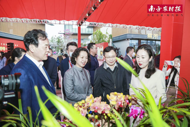 1  南方农村报 晁海娟 拍摄